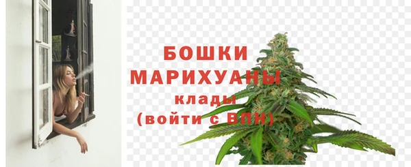 стафф Аркадак