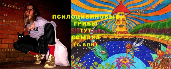 стафф Аркадак