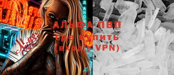 стафф Аркадак
