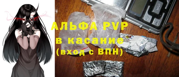 стафф Аркадак