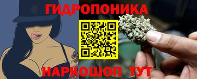индика Балахна