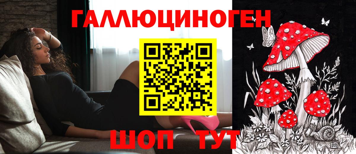 Псилоцибиновые грибы прущие грибы Бахчисарай