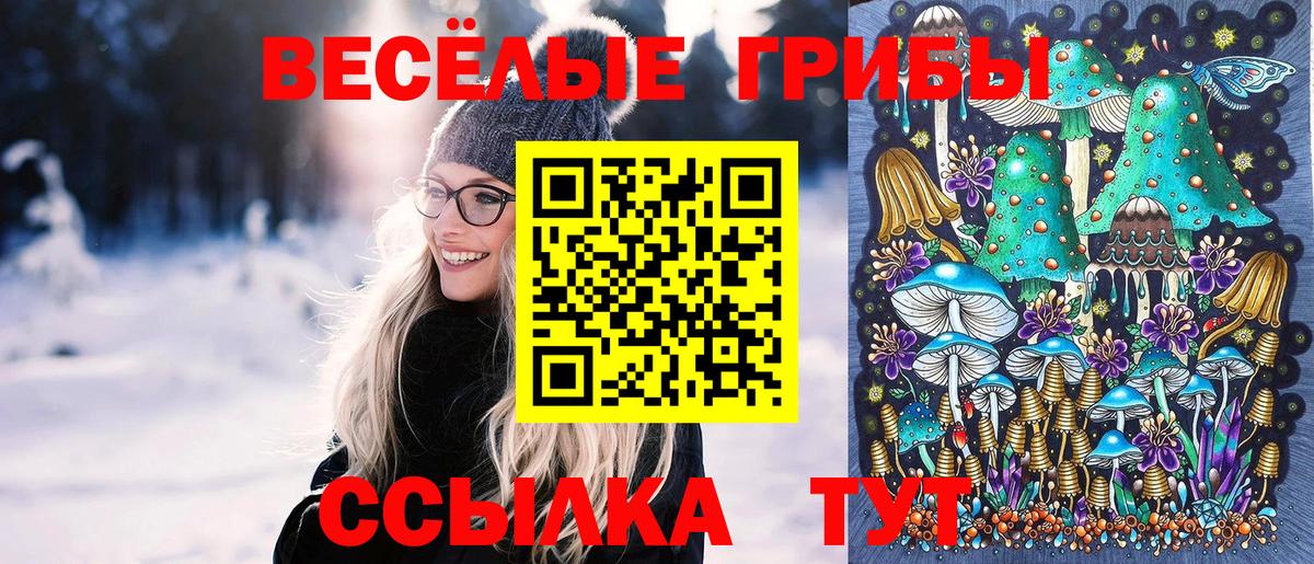 Бахчисарай  Галлюциногенные грибы Psilocybine cubensis  Вход с VPN  Галлюциногенные грибы GOLDEN TEACHER 